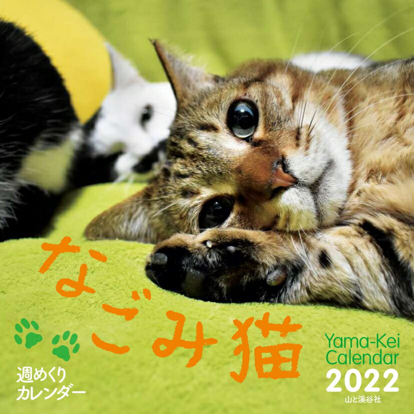 週めくりカレンダーなごみ猫カレンダー（2022）