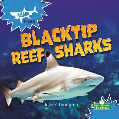 Blacktip Reef Sharks BLACKTIP REEF SHARKS [ Julie K. Lundgren ]