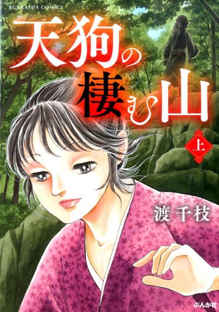 天狗の棲む山