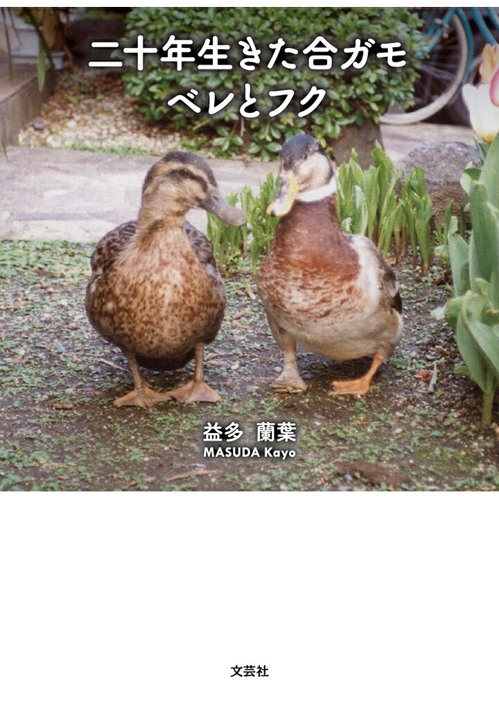 【POD】二十年生きた合ガモ ベレとフク