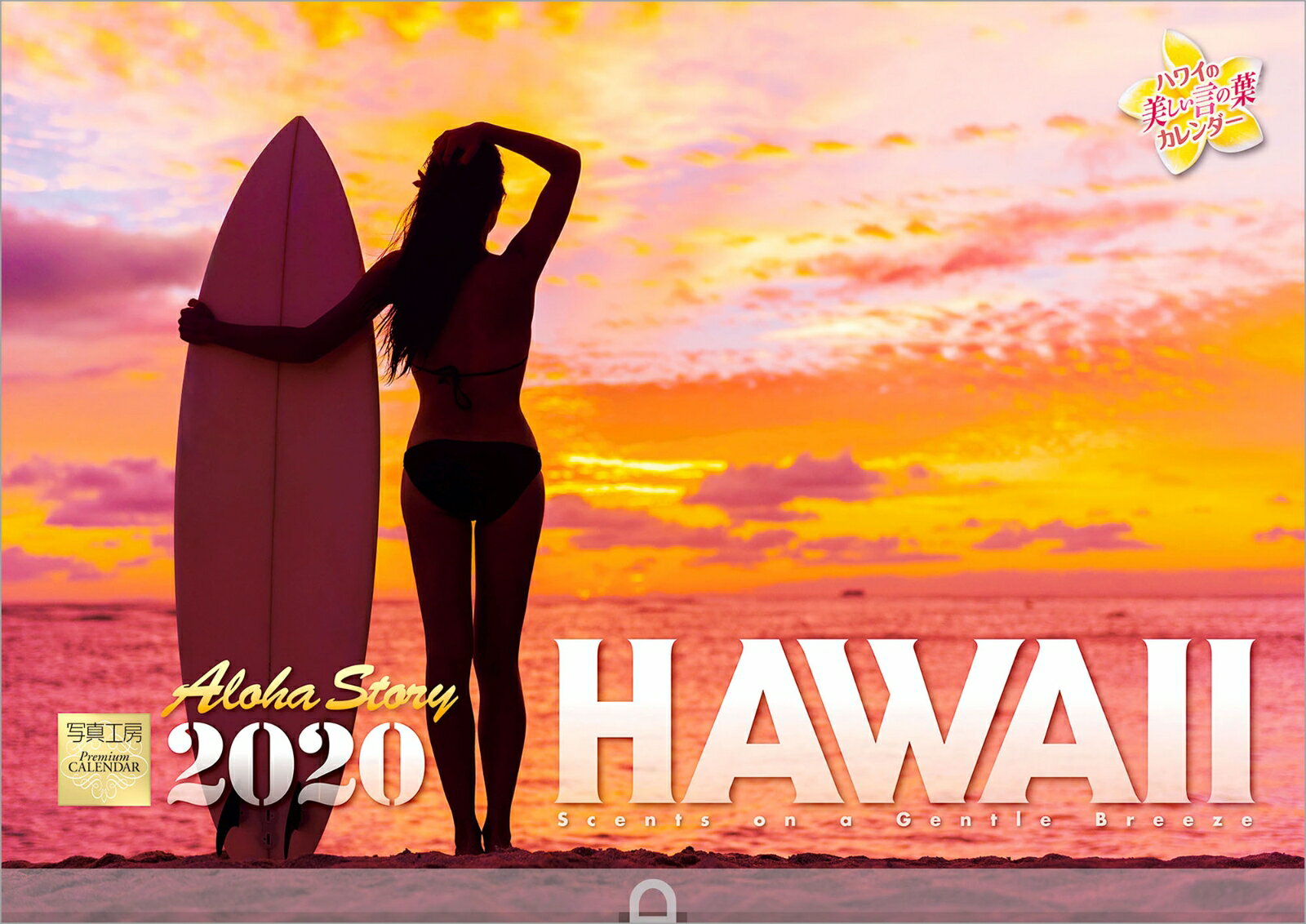 ハワイ Aloha Story 2020年 カレンダー 壁掛け