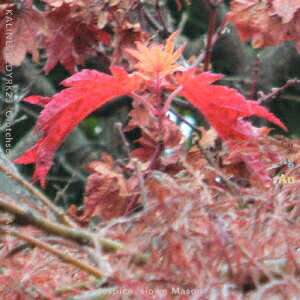 KALINE20EDYRK23 Olotchschmitt in Aureauspice [ `slown Mason ]