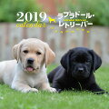2019年大判カレンダー ラブラドール・レトリーバー