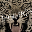 JAGUAR 2013 [ 春畑道哉 ]