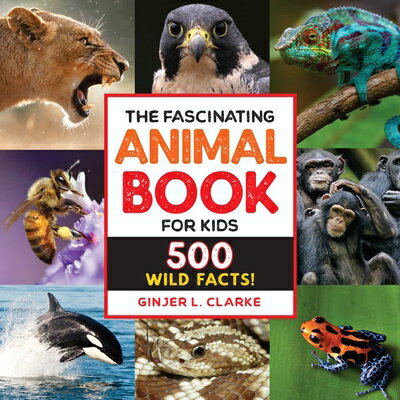 楽天楽天ブックスThe Fascinating Animal Book for Kids: 500 Wild Facts! FASCINATING FACTSFASCINATING A （Fascinating Facts） [ Ginjer Clarke ]