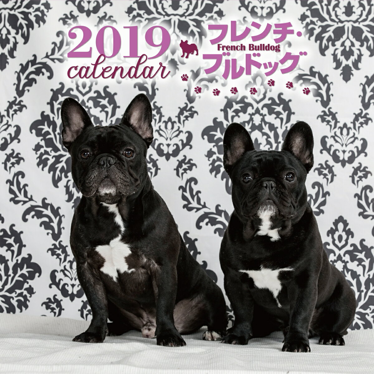 2019年大判カレンダー　フレンチ・ブルドッグ