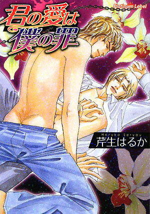 君の愛は僕の罪