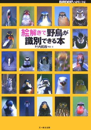 絵解きで野鳥が識別できる本 （Birder　special） [ 叶内拓哉 ]