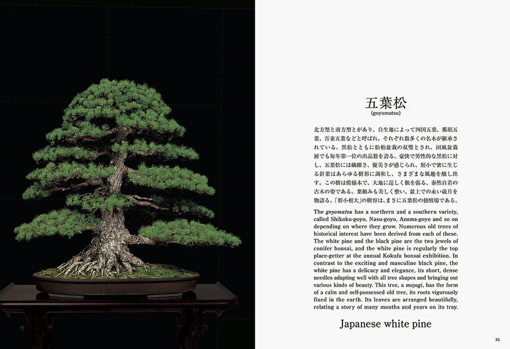 Bonsai 盆栽 新装版 [ 小林　國雄 ] 2