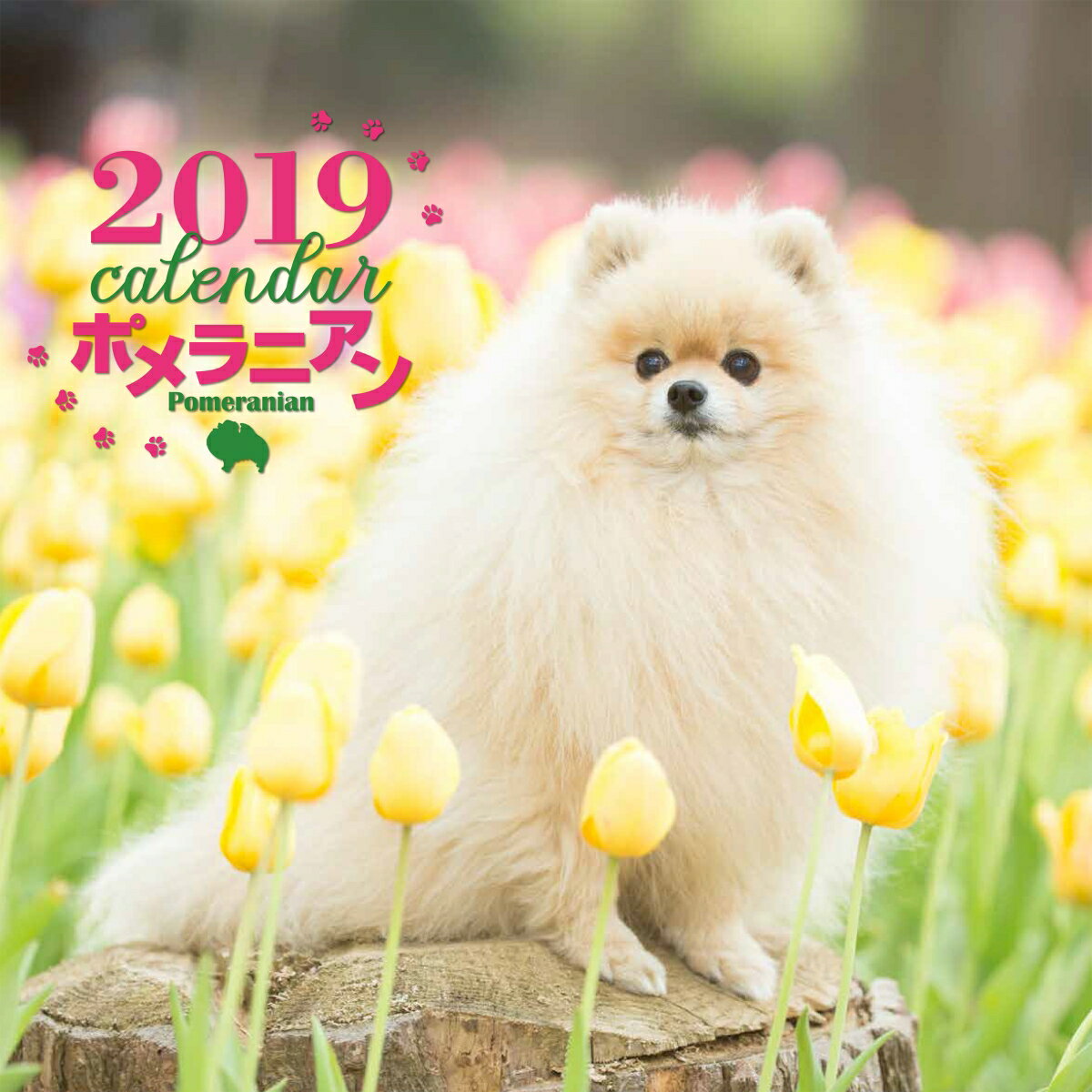 2019年大判カレンダー　ポメラニアン