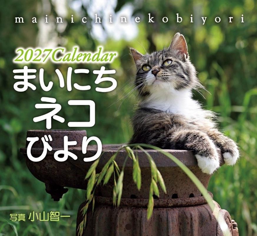 壁掛けカレンダー まいにちネコびより（2027）