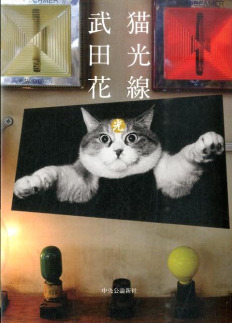 猫光線 [ 武田花 ]のサムネイル