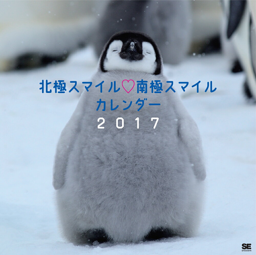 【壁掛】北極スマイル・南極スマイル カレンダー 2017