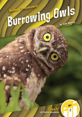 Burrowing Owls BURROWING OWLS （Animal Pranksters） [ Julie Murray ]
