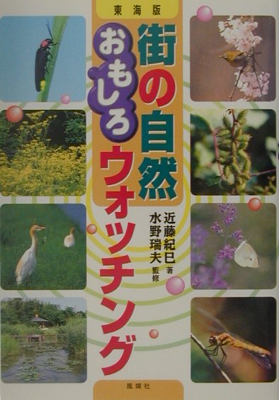 街の自然おもしろウォッチング 東海版 [ 近藤紀巳 ]