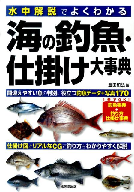 海の釣魚・仕掛け大事典 水中解説でよくわかる [ 豊田和弘 ]