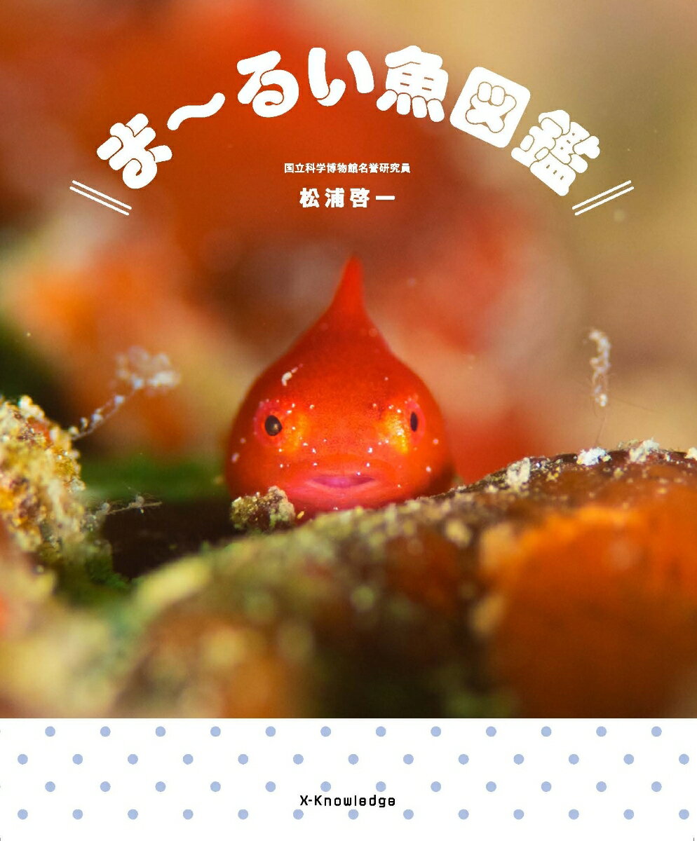 ま〜るい魚図鑑