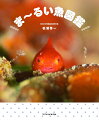 ぽてっとしたフォルムに、つぶらな瞳ー。魚類きっての癒し系が大集合。ま〜るい魚１３０種を収録。世界に誇る日本のフグ博士が「まる」の秘密に迫る！