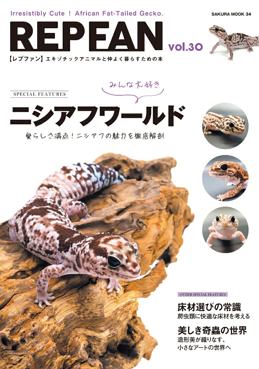 第1特集

みんな大好き

ニシアフワールド



愛らしさ満点！ニシアフの魅力を徹底解剖

つぶらな瞳とにっこり顔、ずんぐりボディがたまらないニシアフリカトカゲモドキ。

比較的丈夫で飼育しやすく、初心者からベテランまで幅広いファンに愛されています。

モルフのバリエーションも年々増え、コレクション性も抜群！

基礎知識から飼育環境の作り方、餌の与え方、繁殖のポイント、人気モルフ紹介など、

ニシアフのすべてをこの一冊に凝縮しました。

ニシアフの魅力にどっぷり浸かれる特集です。



第2特集

飼育生体に合わせた床材選び

快適な環境づくりは床材選びから！



床材は、見た目だけでなく生体の健康や行動に大きく影響する重要なアイテム。

ヤモリ、トカゲ、ヘビ、カメ、両生類、昆虫など、さまざまな生体に最適な床材の選び方を徹底解説します。

通気性・保湿性・安全性などのポイントを押さえ、

実際の使用例やおすすめ床材を詳しく紹介。

あなたの飼育環境をワンランクアップさせるヒントが満載です。



第3特集

美しき奇蟲の世界

造形美が織りなす、小さなアートの世界へ



色彩、形、動き、そのすべてが唯一無二の魅力を放つ奇蟲たち。

カブトムシやクワガタはもちろん、タランチュラ、サソリ、ナナフシ、ムカデ、ゴキブリまで、

個性あふれる奇蟲の美しさに迫ります。生態や飼育のポイント、魅力的な種類の紹介など、奇蟲の奥深い世界を

たっぷりお届けします。



その他、連載も内容充実！

・レプタイルズレジェンド　・REP ZOO REPO　・熱帯倶楽部のいきものーと　・白輪剛史のレプタイルズSHOW　・日本の爬虫類両生類　・after that DBT　・マミタスレプタス　・GCBの飼育放浪記　・RAFチャンネルDIARY　・イベント情報　など

※本誌は現在企画進行中のため、特集内容・掲載記事等は予告なく変更となる場合がございます。最新の情報は決定次第、当ページにてお知らせいたします。