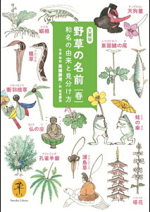 野草の名前　春 和名の由来と見つけ方 （ヤマケイ文庫） [ 高橋勝雄 ]