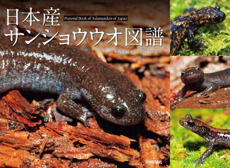 日本産サンショウウオ図譜の表紙