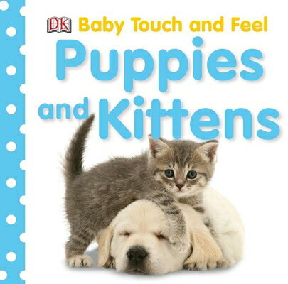 Baby Touch and Feel: Puppies and Kittens BABY TOUCH FEEL PUPPIES KI （Baby Touch and Feel） Dk