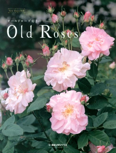 オールドローズ好きのOld　Roses
