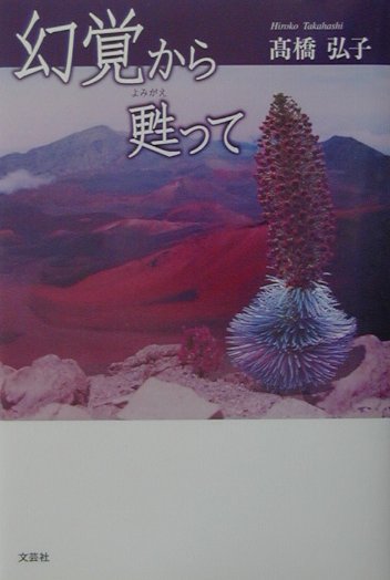 幻覚から甦って