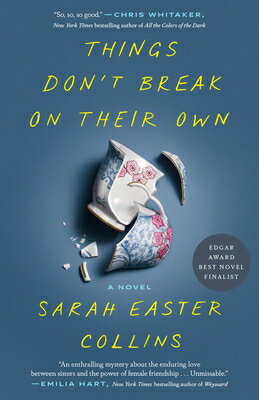 Things Don't Break on Their Own THINGS DONT BREAK ON THEIR OWN [ Sarah Easter Collins ]