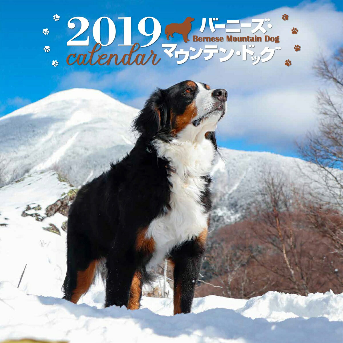 2019年大判カレンダー　バーニーズ・マウンテン・ドッグ
