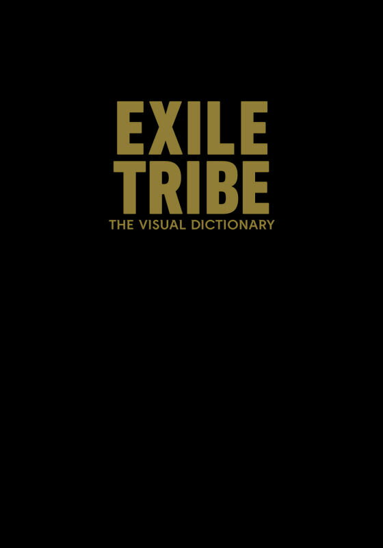 EXILE TRIBE THE VISUAL DICTIONARY 初回限定版しおり付