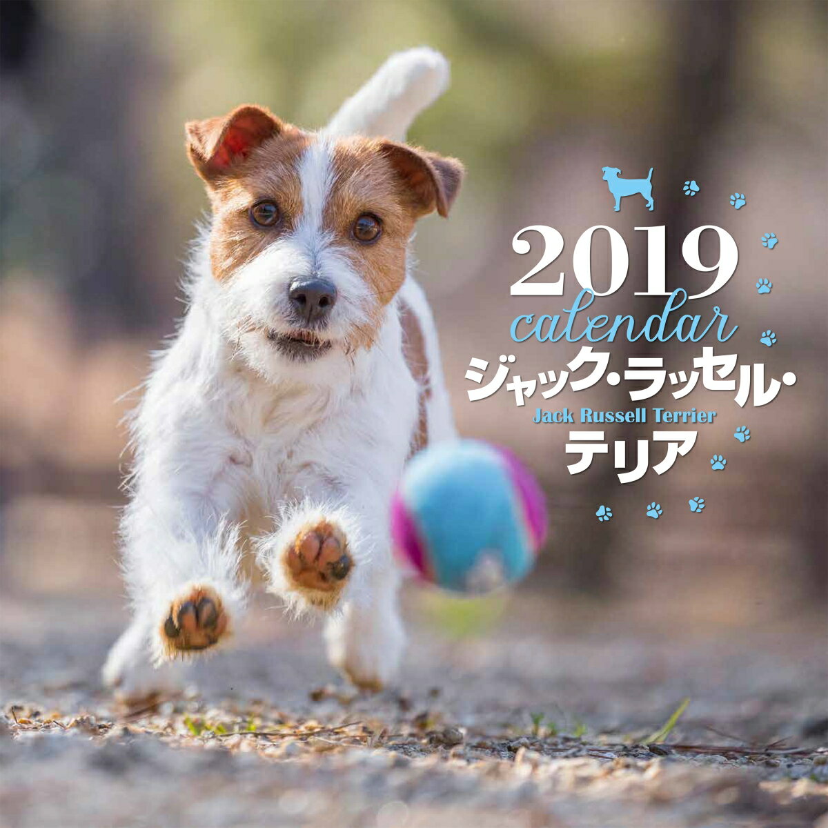 2019年大判カレンダー　ジャック・ラッセル・テリア
