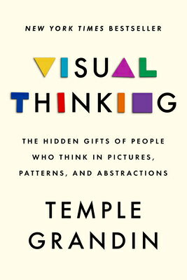 Visual Thinking: The Hidden Gifts of People Who Think in Pictures, Patterns, and Abstractions