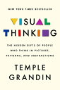 Visual Thinking: The Hidden Gifts of People Who Think in Pictures, Patterns, and Abstractions VISUAL THINKING Temple Grandin