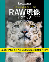 Lightroomカラー作品を仕上げるRAW現像テクニック