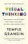 Visual Thinking: The Hidden Gifts of People Who Think in Pictures, Patterns, and Abstractions