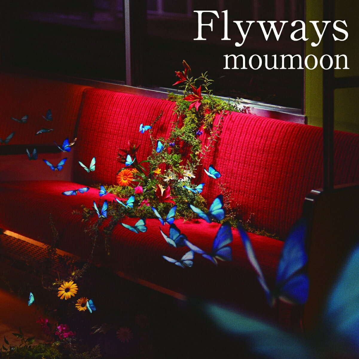 Flyways