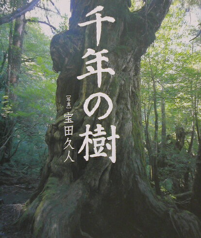 千年の樹 Where　the　gods　dwell [ 宝田久人 ]