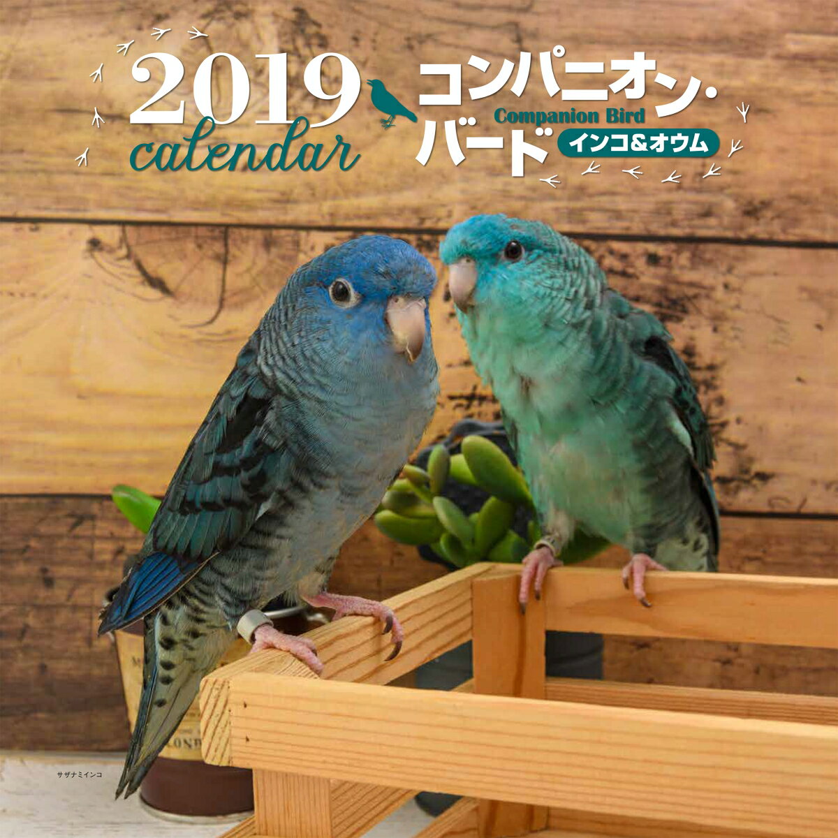 2019年大判カレンダー　コンパニオン・バード インコ＆オウム