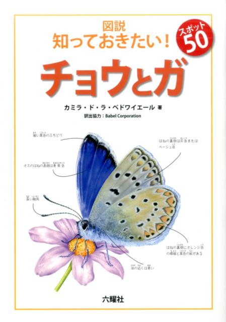 図説知っておきたい！スポット50チョウとガ