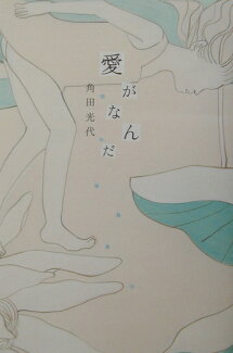 愛がなんだの表紙