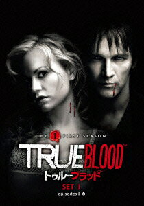 �ȥ��롼�֥�åɡ�ե������ȡ䥻�å�1