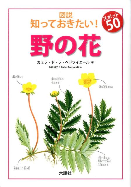 図説知っておきたい！スポット50野の花 （RIKUYOSHA　Children　＆　YA　Books） [ カミラ・ド・ラ・ベドワイエール ]