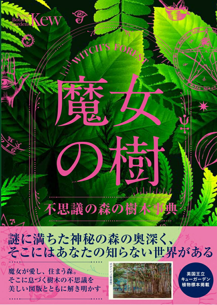 社寺と国有林 京都東山・嵐山の変遷と新たな連携 [ 福田　淳 ]