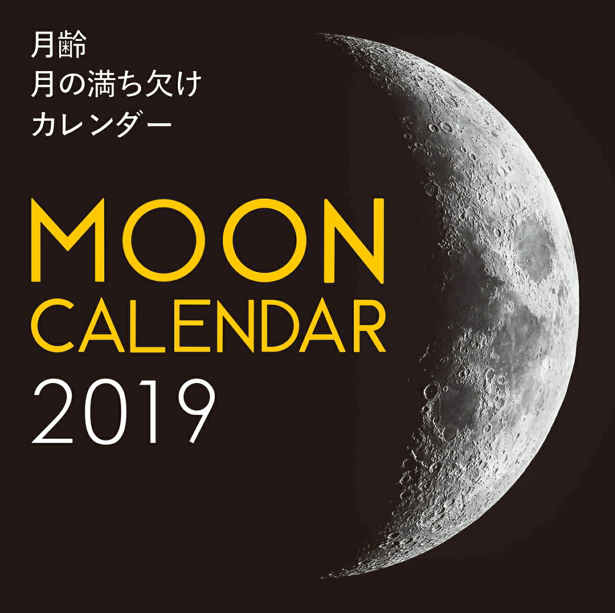 2019年大判カレンダー　月齢 月の満ち欠けカレンダー