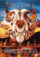【輸入盤】Sea Of Fire