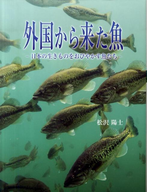 外国から来た魚