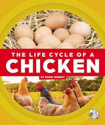 The Life Cycle of a Chicken LIFE CYCLE OF A CHICKEN （Life Cycles） [ Robin Merritt ]
