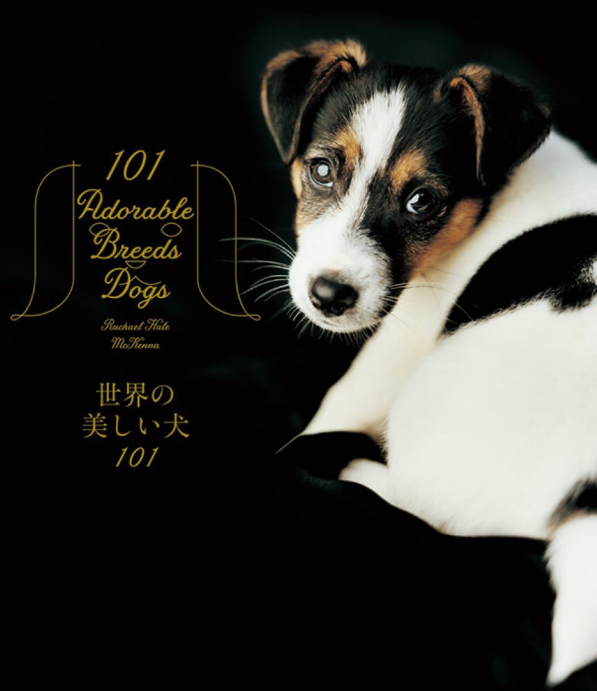 世界の美しい犬101 [ レイチェル・ヘイル・マッケナ ]