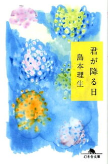 君が降る日の表紙